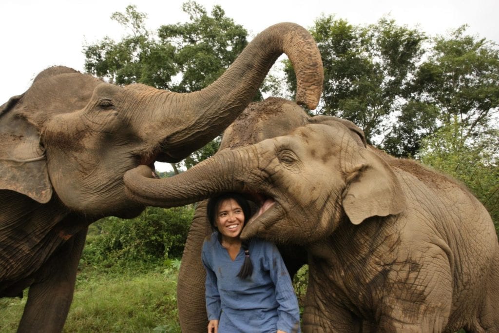 The Woman Saving Thailand's Elephants | Unearth Women