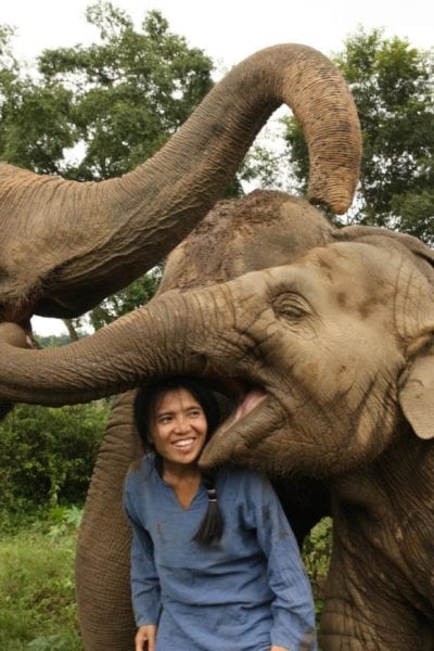 Lek with rescued elephants in Thailand | © Save Elephant Foundation